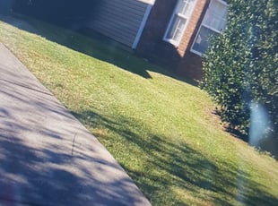 Leaf Removal by Derrick gadsden for Tim S. in Summerville, SC