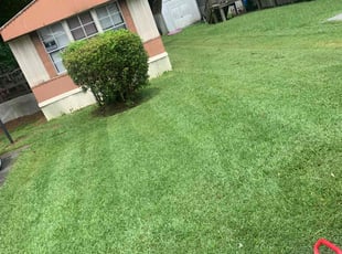 Yeshi G.'s Yard Cutting service result