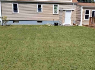 Lee d.'s Grass Cutting service result