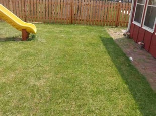 Marian S.'s Lawn Care service result