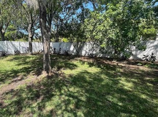 Leaf Removal by Trevor Wood for Eva M. in Oldsmar, FL