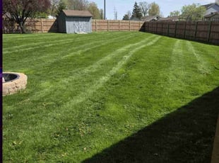 Cindy R.'s Lawn Service service result