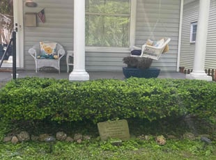 Bush Trimming by Jose Colon for Kathy B. in Louisville, KY