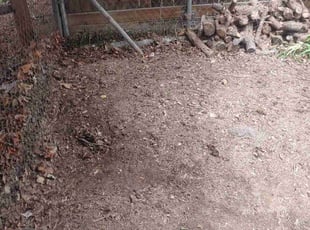Cleanups by Kevin Mills for Veronica . in Arvada, CO