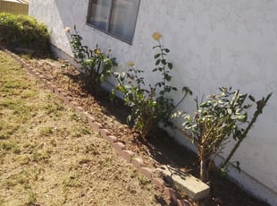 Weeding by Mark Anthony Gutierrez for Elainne S. in Cerritos, CA