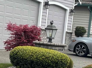 Bush Trimming by Courtney Roberts for Kevin G. in Puyallup, WA