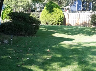 Emily W.'s Lawn Care service result