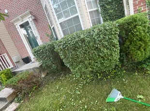 Bush Trimming by Kayla Haskins for Jeffrey C. in Abingdon, MD