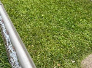 Gloria V.'s Lawn Care service result