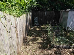 Weeding by Artavius Clark for Manica R. in Washington, DC
