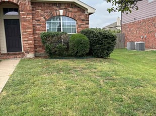 Bush Trimming by Brian Barela for Leah N. in Forney, TX