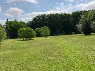 Eva R.'s Lawn Maintenance service result