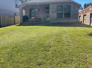 Colleen G.'s Lawn Mowing service result
