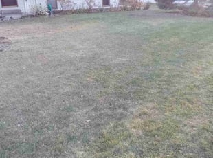 Leaf Removal by Jeffrey Spears for Michael B. in Shoreview, MN