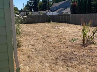 Cleanups by Bryon Guardado for Patricia R. in Vancouver, WA