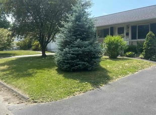 Ayla B.'s Lawn Maintenance service result