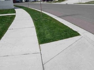 Trevor h.'s Lawn Care service result
