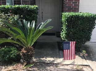 Bush Trimming by Domingo Rosas for Eureal L. in Spring, TX