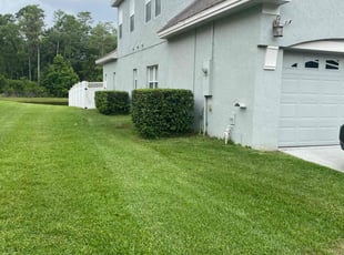 Bush Trimming by Josh Larew for Danielle -. in Orlando, FL