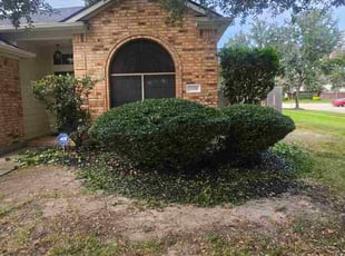 Bush Trimming by Shantharia Banks for James G. in Katy, TX