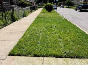 Sandi E.'s Lawn Care service result