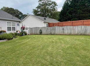 Tyaun L.'s Lawn Mowing service result