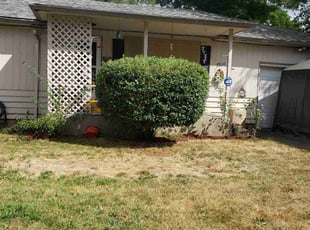 Bush Trimming by J P for Ellen M. in Portland, OR