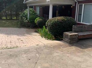 Bush Trimming by Hunter Foster for Angela M. in Anderson, SC