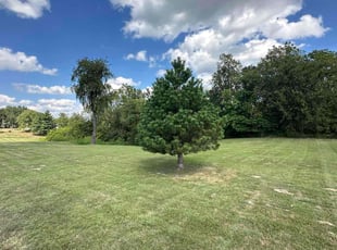 Marilyn R.'s Lawn Care service result