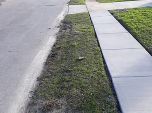 Cleanups by Scott Bensing for Irina P. in Holiday, FL