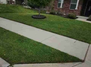 Bradley T.'s Lawn Mowing Service service result