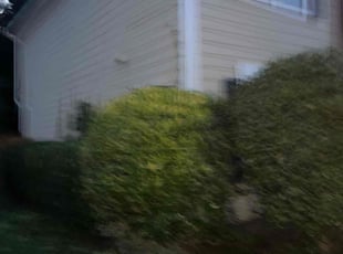 Bush Trimming by Jovon Braddy for Kirsten H. in College Park, GA