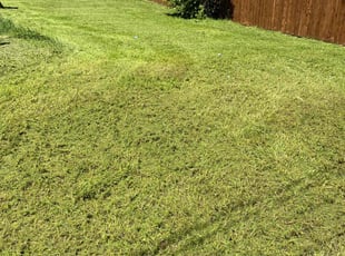 Karol K.'s Lawn Mowing service result