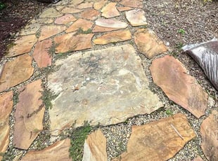 Leaf Removal by Savana Cao for laura m. in Asheville, NC