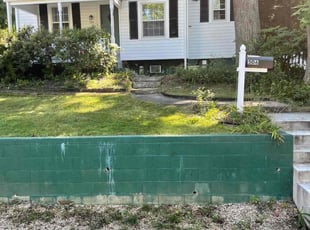 Leaf Removal by Kamonta Hackey for Amanda W. in Silver Spring, MD