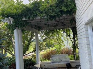 Bush Trimming by Connor Hall for Whitney E. in Asheville, NC