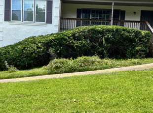Bush Trimming by Marc Yero for KATIE S. in Dallas, GA