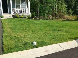 STANLEY E.'s Lawn Mowing service result