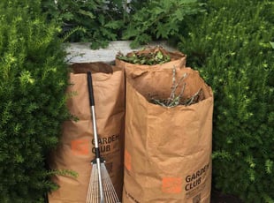 Cleanups by Allison Conley for Gabriela L. in Wilkes-Barre, PA