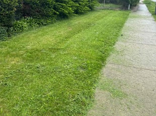 John P.'s Lawn Mowing service result