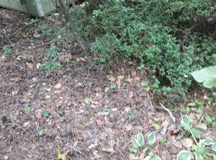 Landscaping by Derrick Smith for Steven H. in Cary, NC