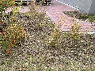 Weeding by Gordon Brown for Reeta G. in Kissimmee, FL