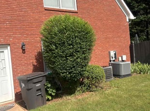 Bush Trimming by Chrishun Webber for Christian C. in Powder Springs, GA