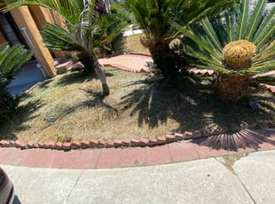 Weeding by Ross Johnson for Charles B. in Los Angeles, CA