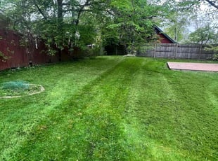 Paul U.'s Lawn Mowing Service service result