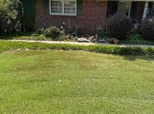 Leaf Removal by Chad Banks for Kate c. in Anderson, SC