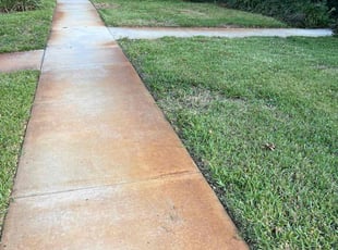 Daniel V.'s Lawn Mowing service result