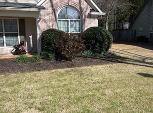 Bush Trimming by Mark King for Constantine P. in Dacula, GA
