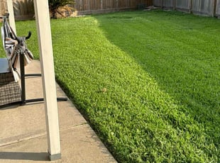 Mark J.'s Lawn Service service result