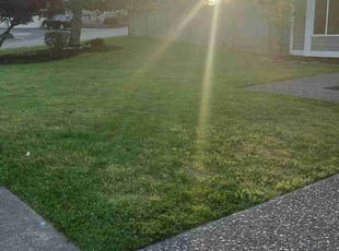 Delaina A.'s Lawn Mowing service result